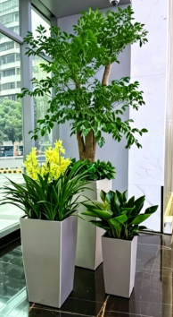 奉化公司花卉出租费用全面解析，核心要点全概括